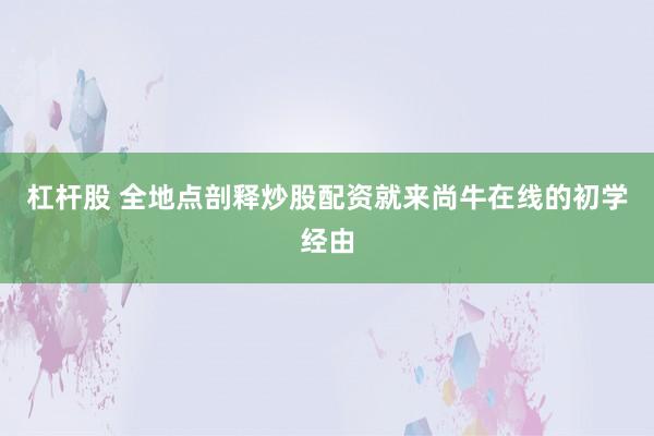 杠杆股 全地点剖释炒股配资就来尚牛在线的初学经由